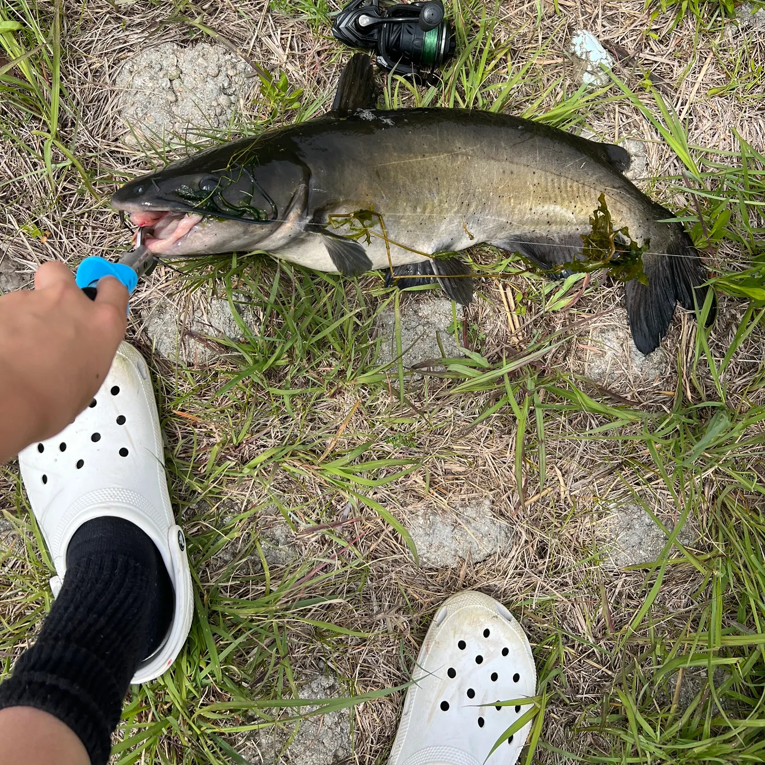 catch