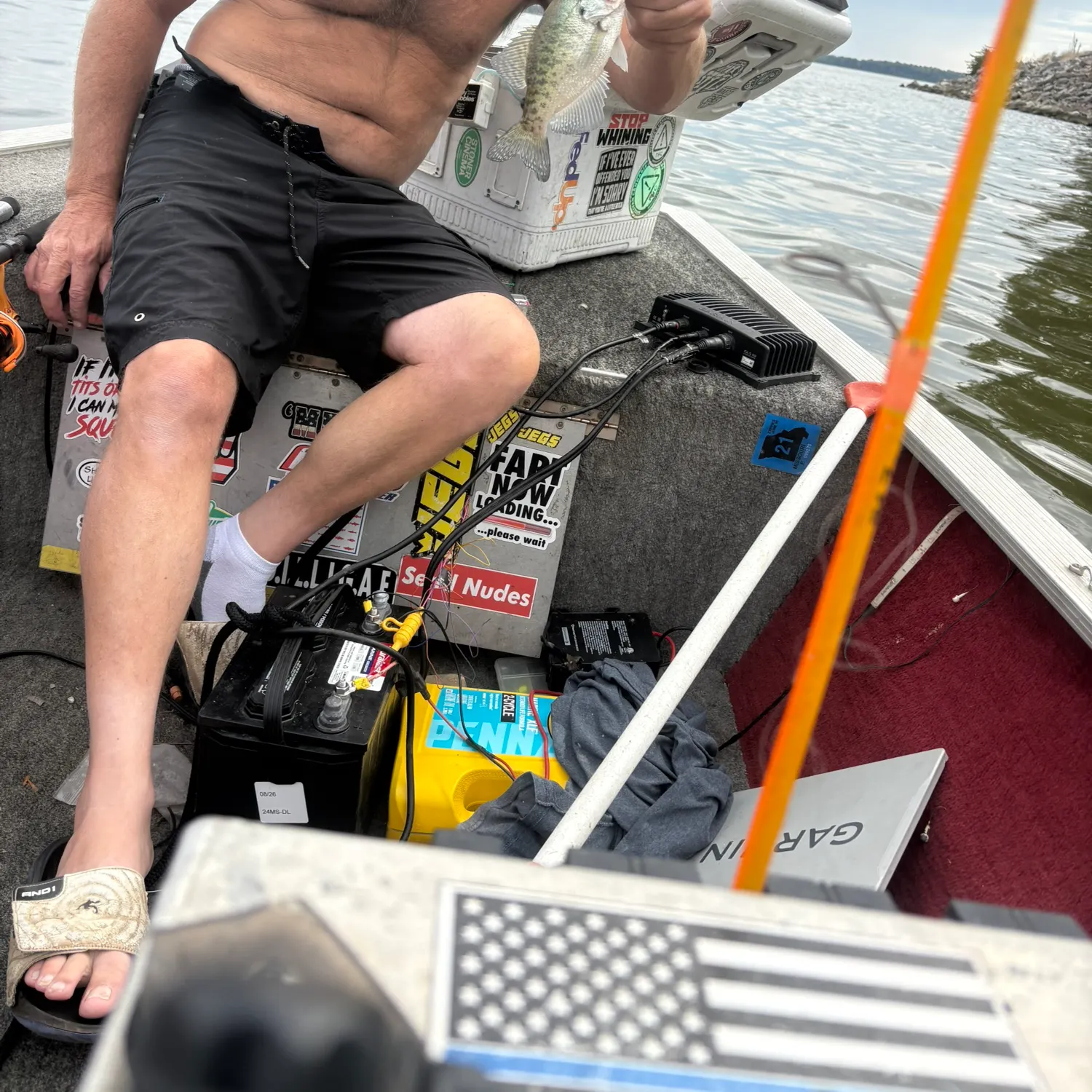 White crappie caught on Fishbrain