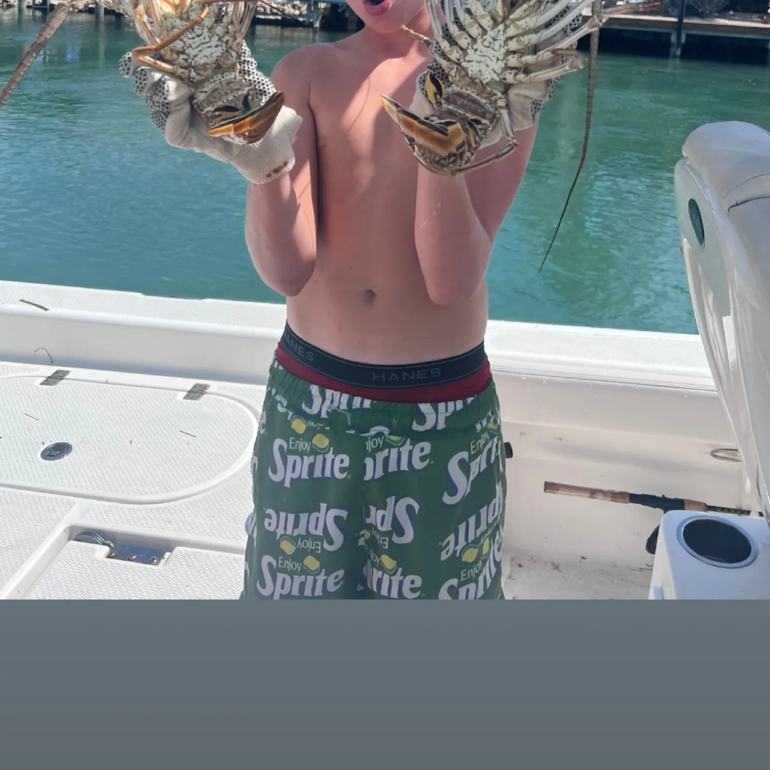 The most recent Green spiny lobster catches on Fishbrain