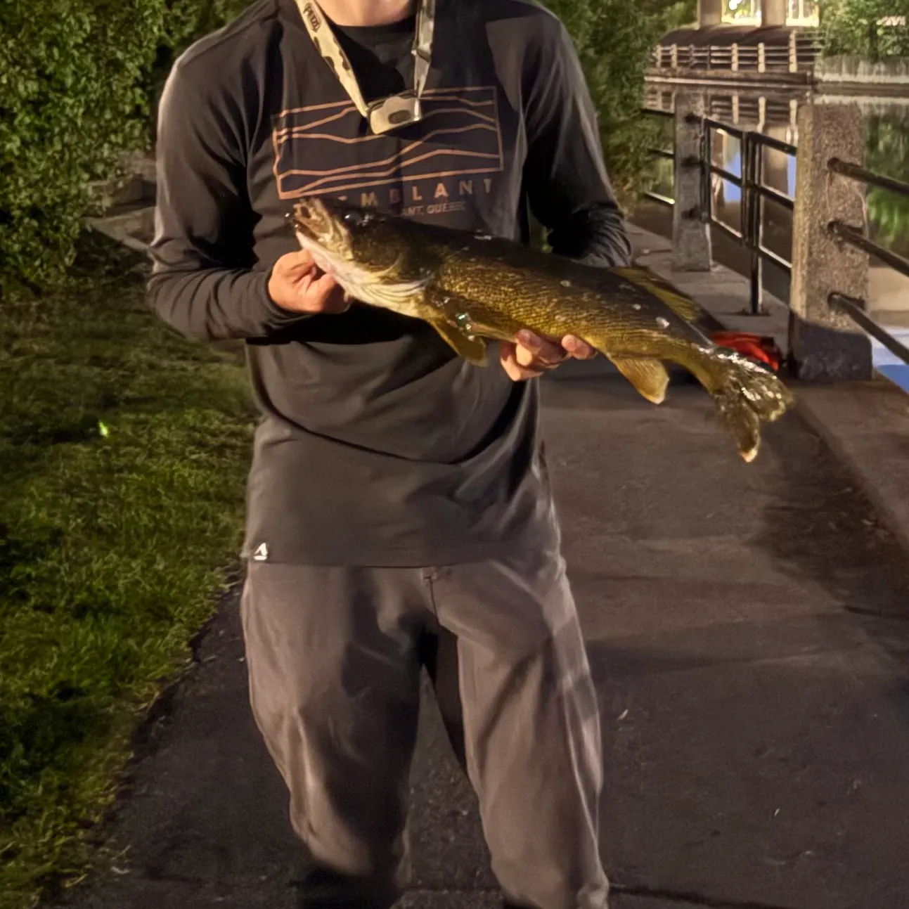 Walleye caught on Fishbrain