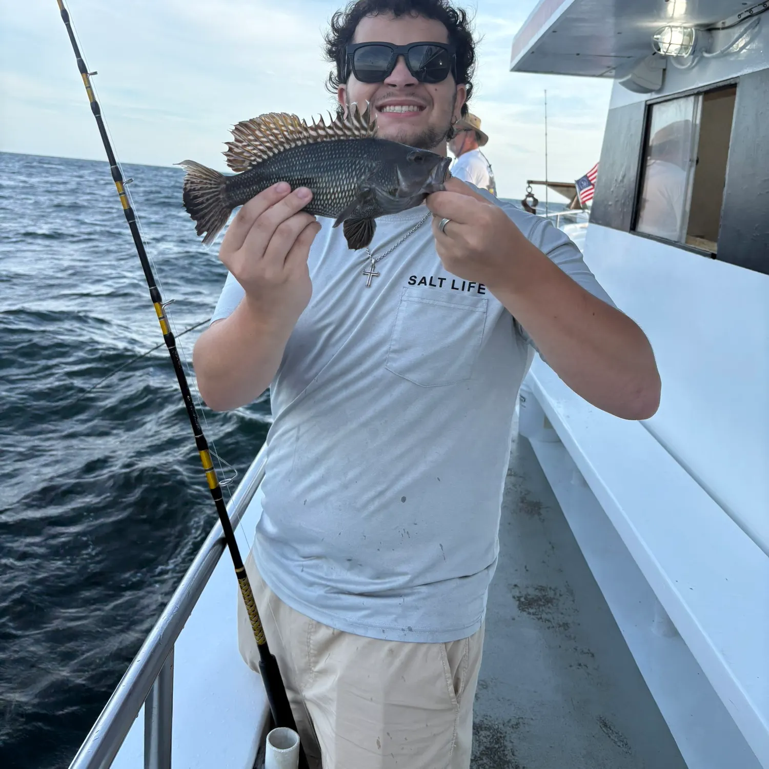 The most recent Black sea bass catches on Fishbrain