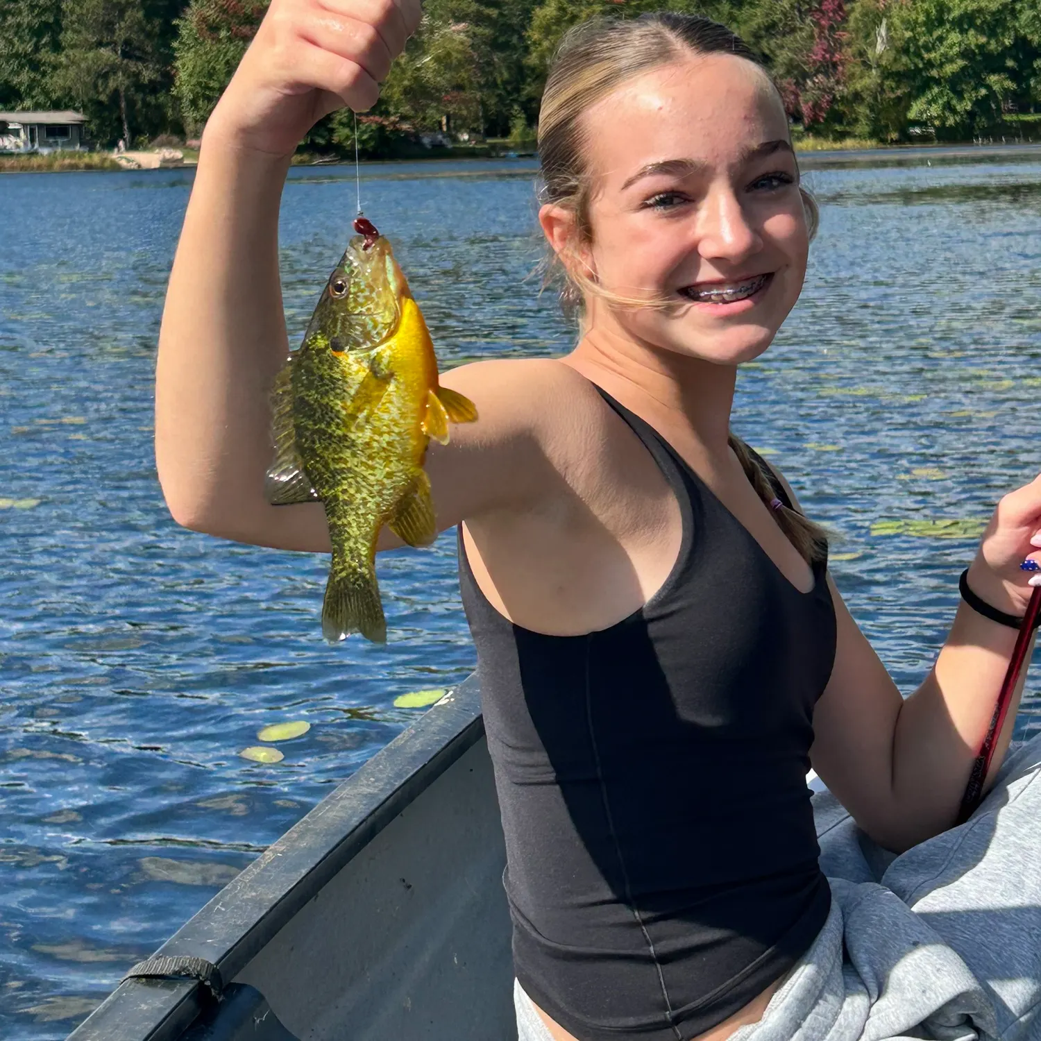 Pumpkinseed caught on Fishbrain