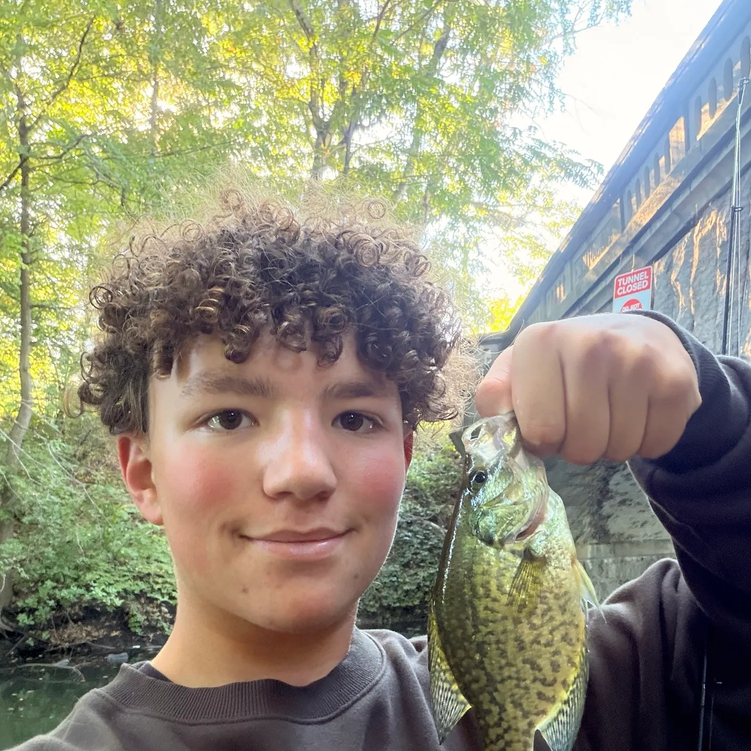Black crappie caught on Fishbrain