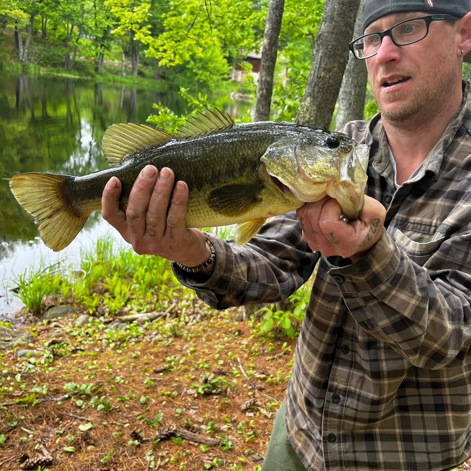 Largemouth bass caught on Fishbrain
