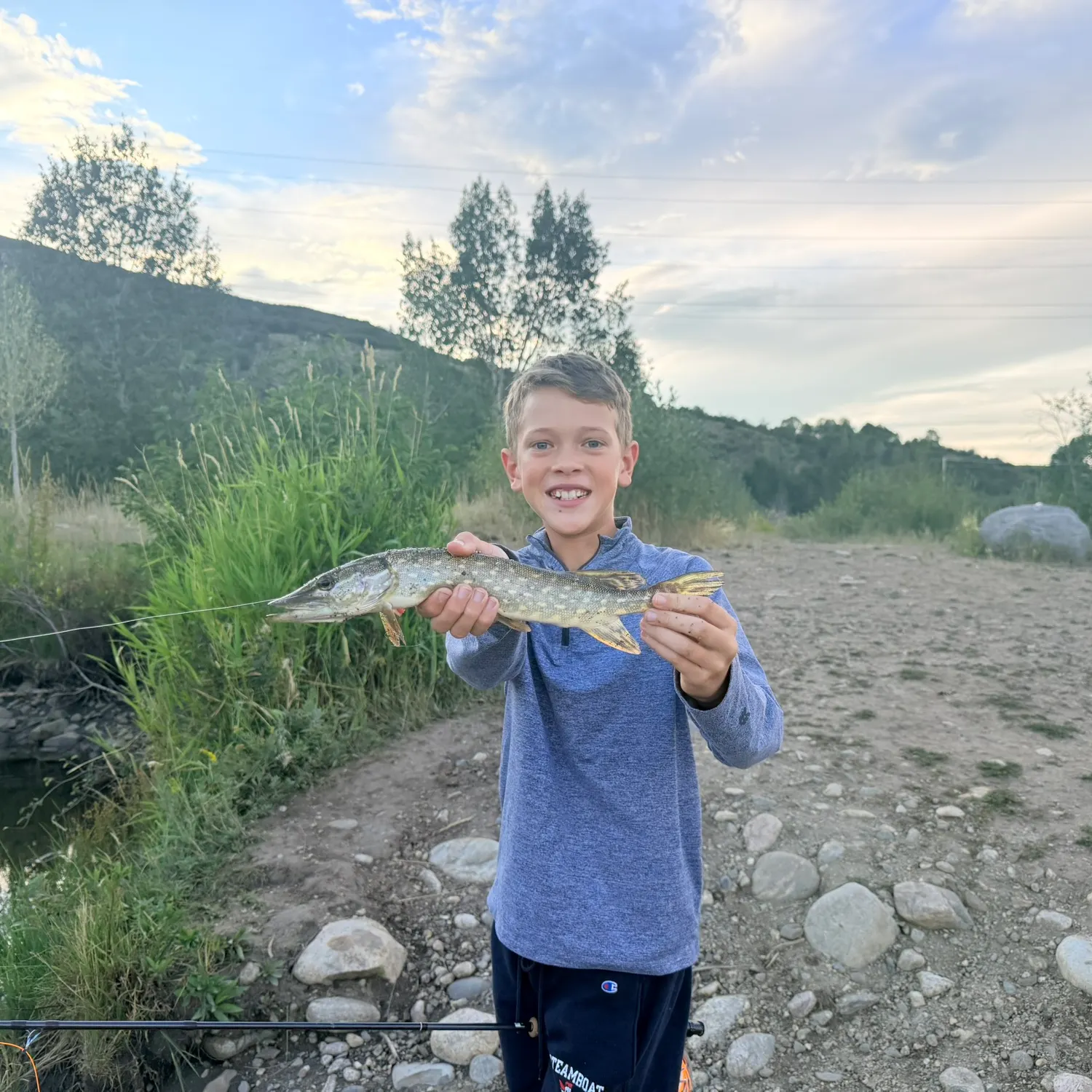 Northern pike caught on Fishbrain