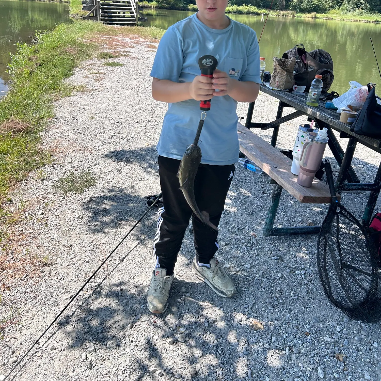 Channel catfish caught on Fishbrain
