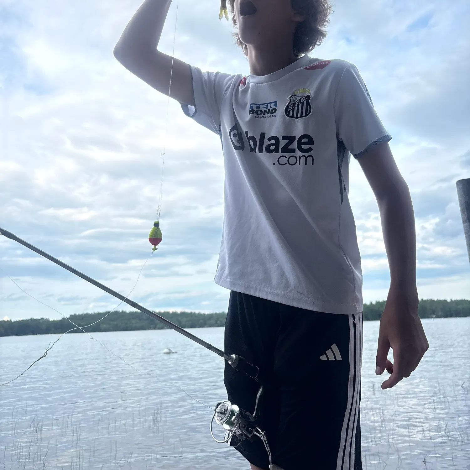Yellow perch caught on Fishbrain