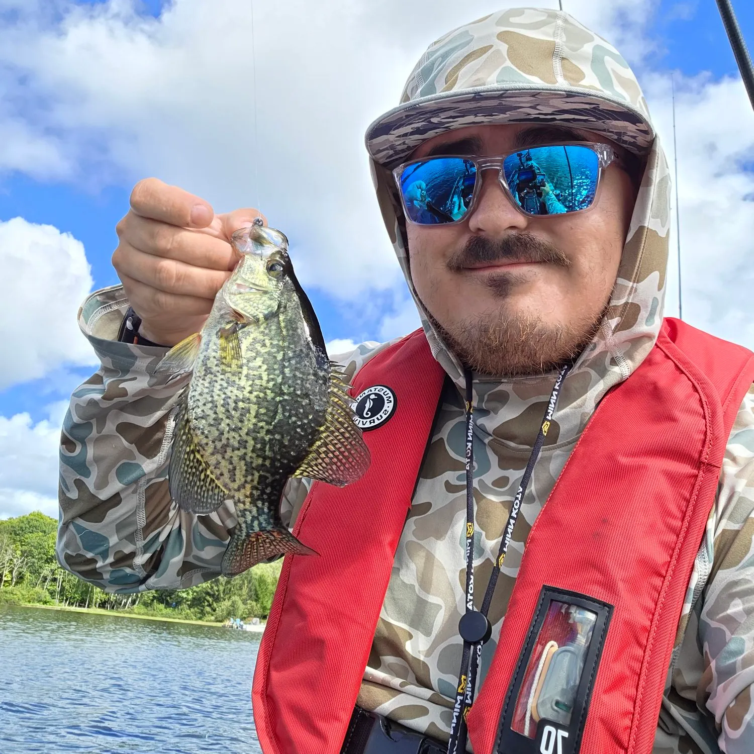 Black crappie caught on Fishbrain