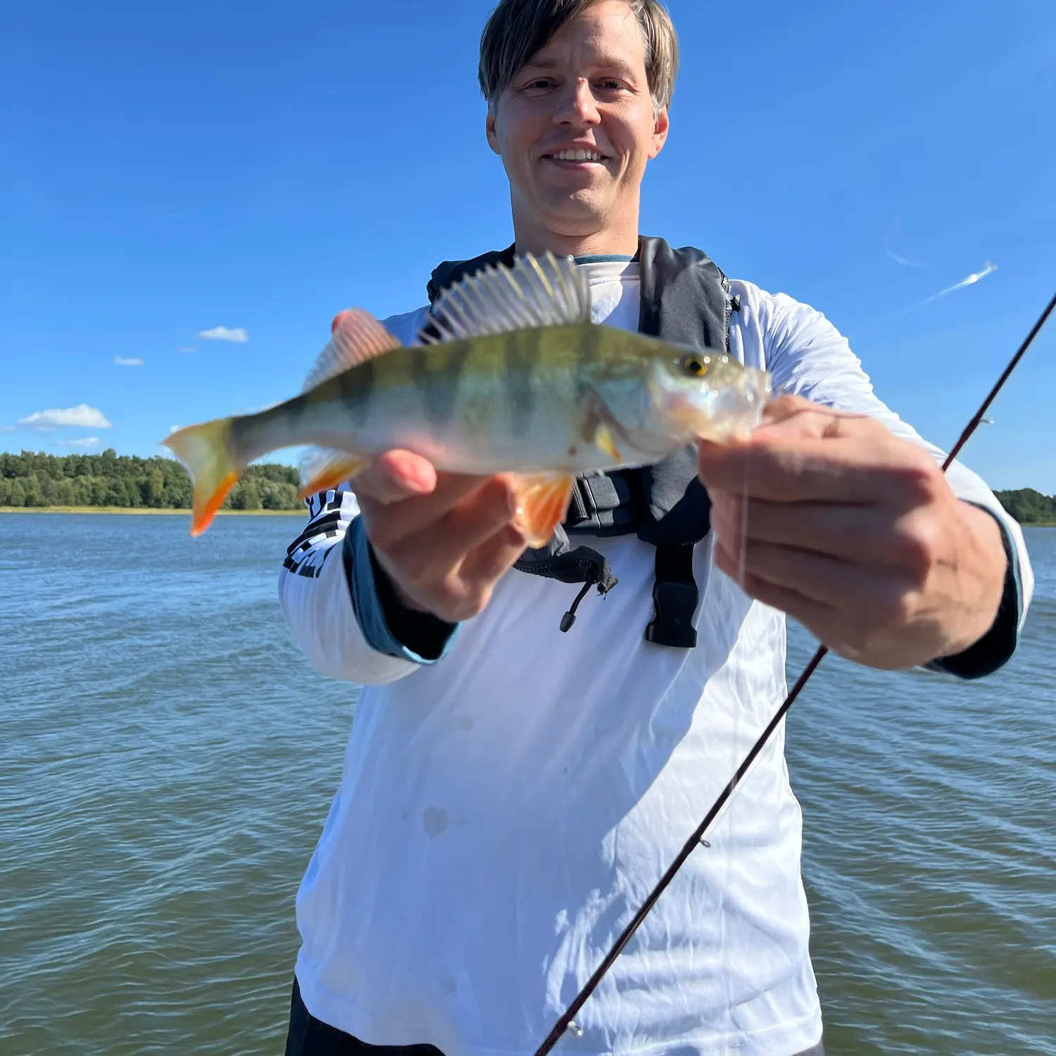 European perch caught on Fishbrain