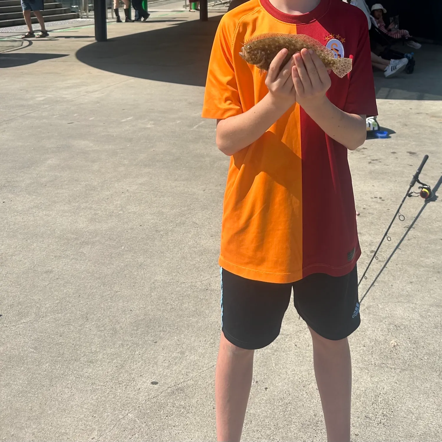 The most recent Smalltooth flounder catches on Fishbrain