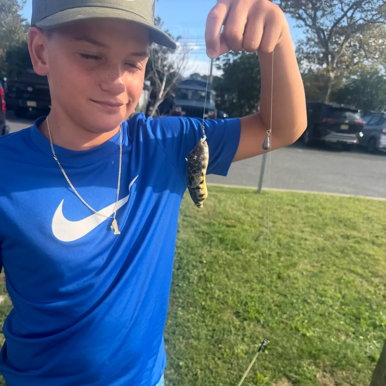 Southern puffer caught on Fishbrain