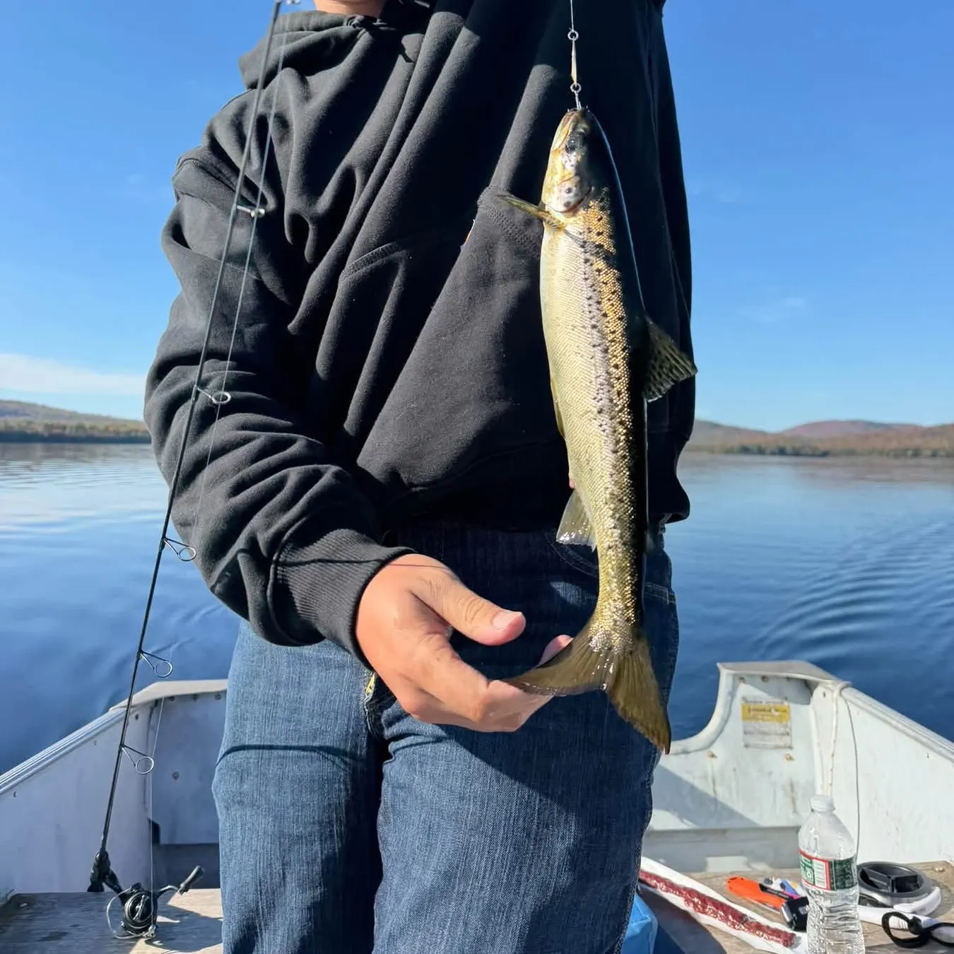 Landlocked atlantic salmon caught on Fishbrain