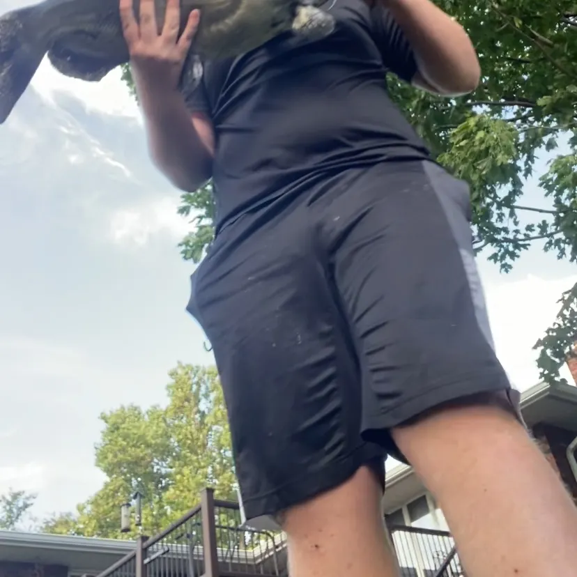 Channel catfish caught on Fishbrain