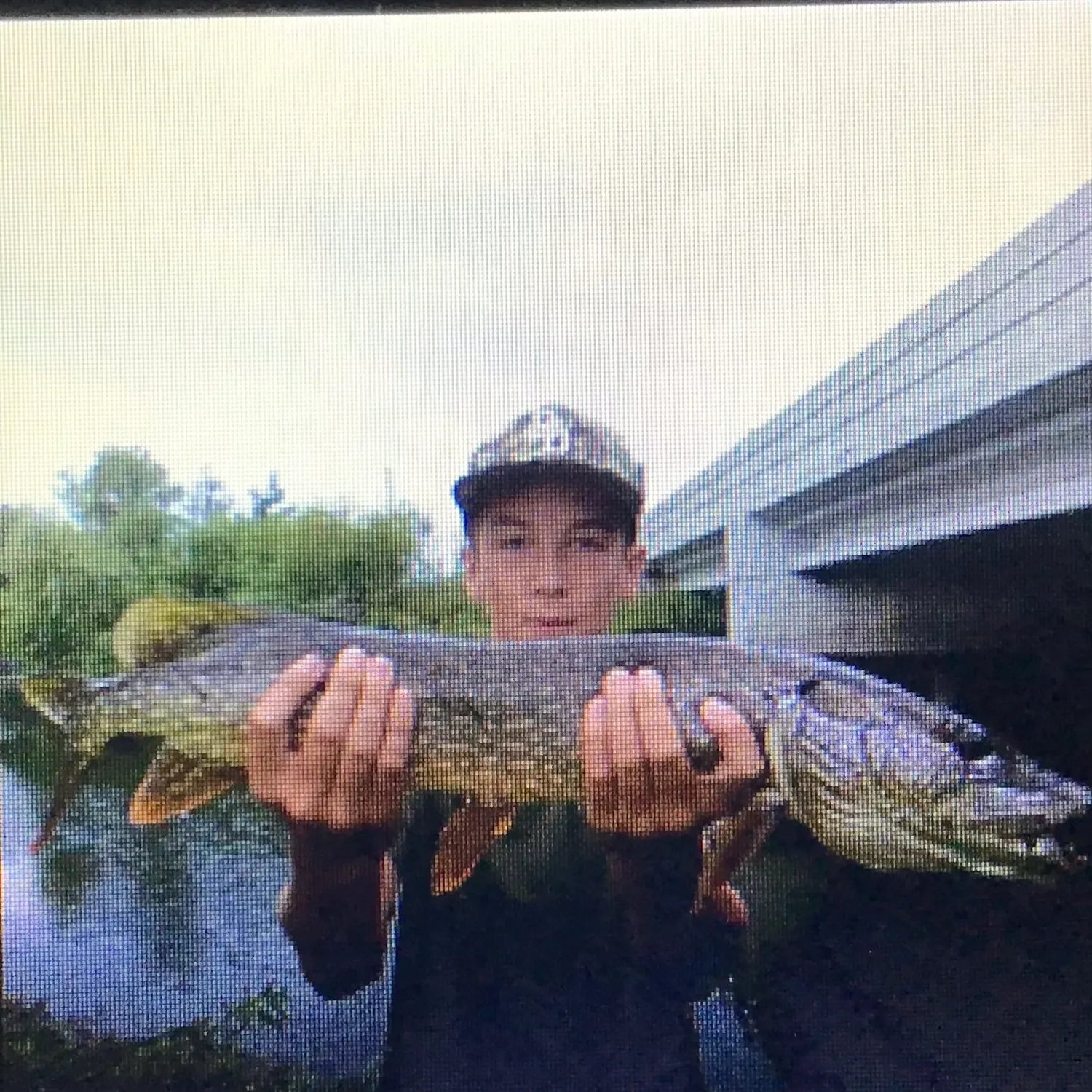 Northern pike caught on Fishbrain