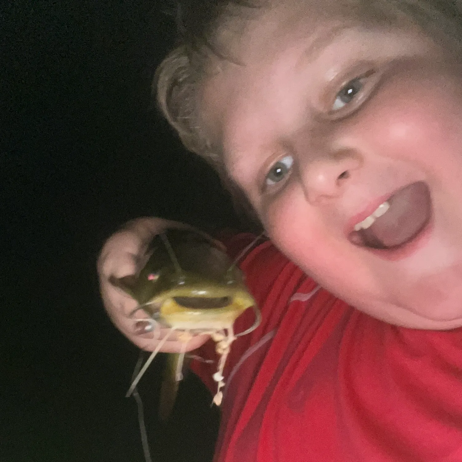 Fish caught on Fishbrain