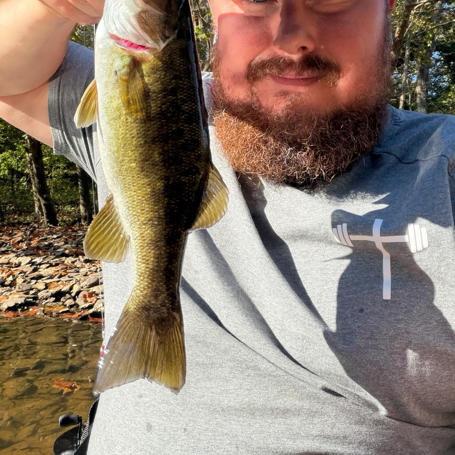 Smallmouth bass caught on Fishbrain