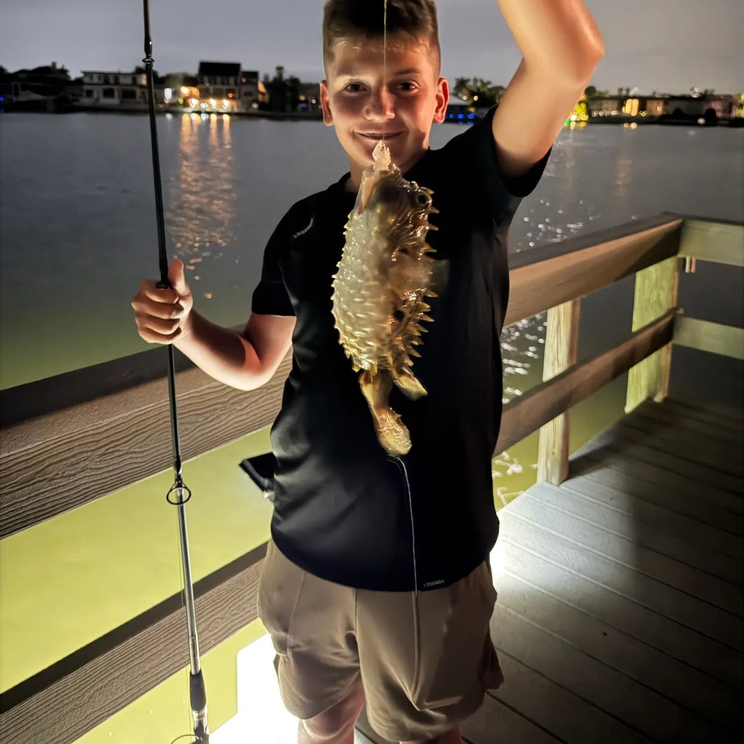 The most recent Striped burrfish catches on Fishbrain