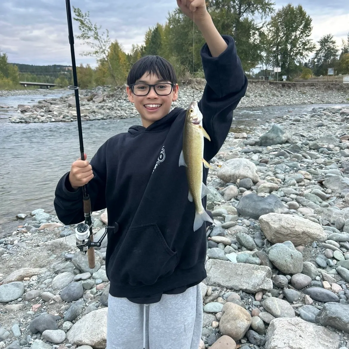 Mountain whitefish caught on Fishbrain