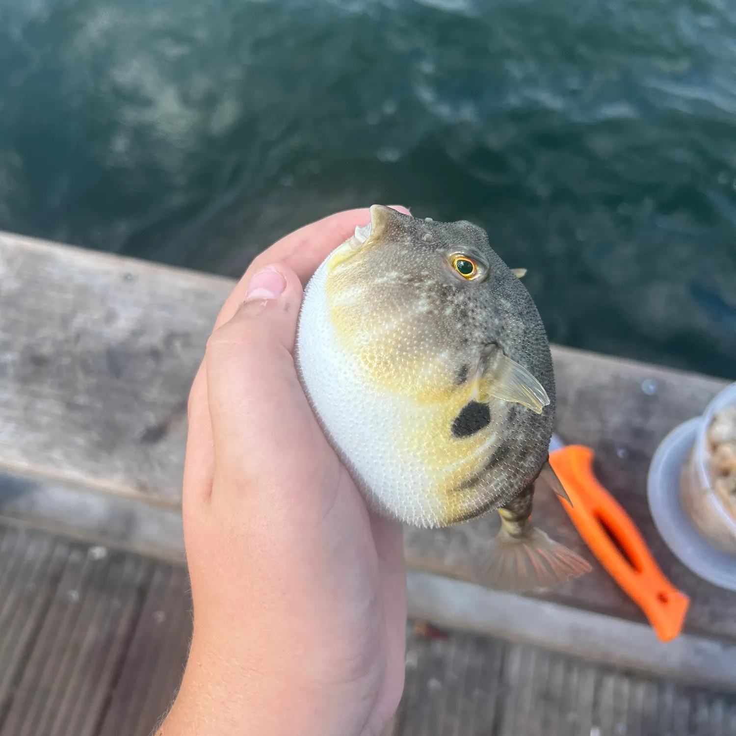 catch