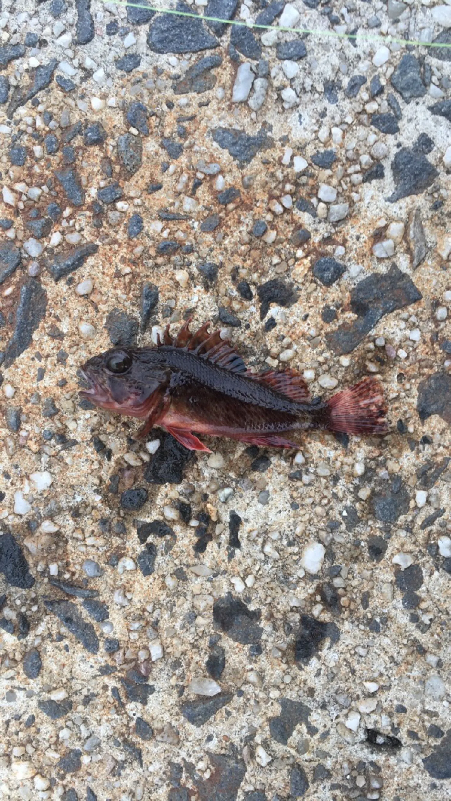 Post image from toliver2813