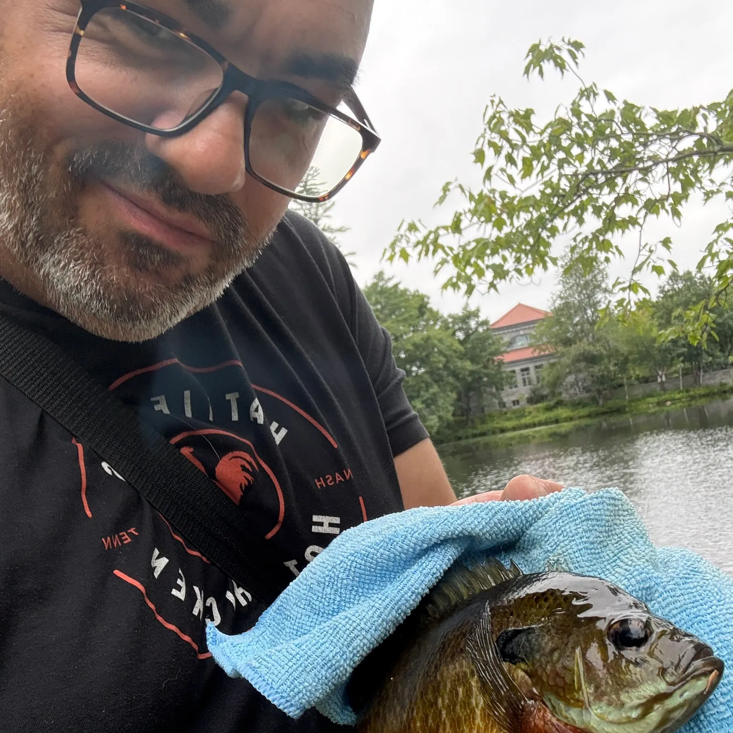 Bluegill caught on Fishbrain