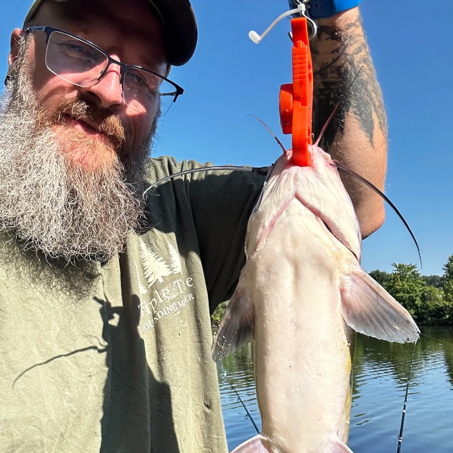 Channel catfish caught on Fishbrain