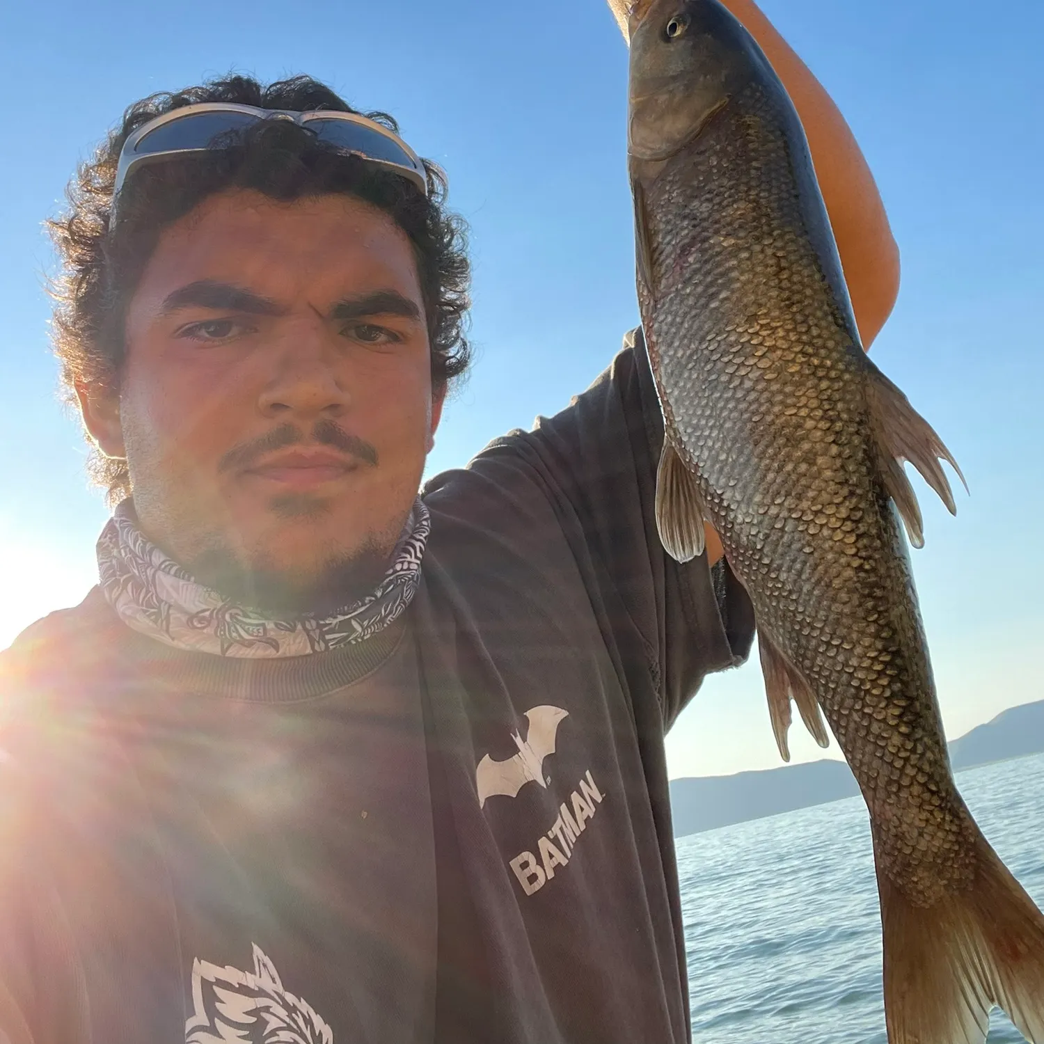 The most recent Common carp catches on Fishbrain