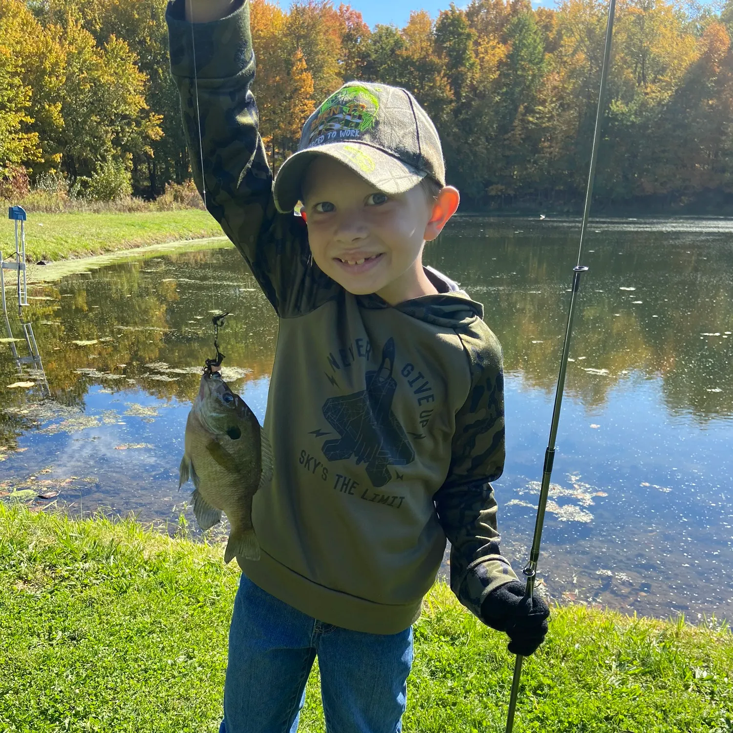 The most recent Bluegill catches on Fishbrain