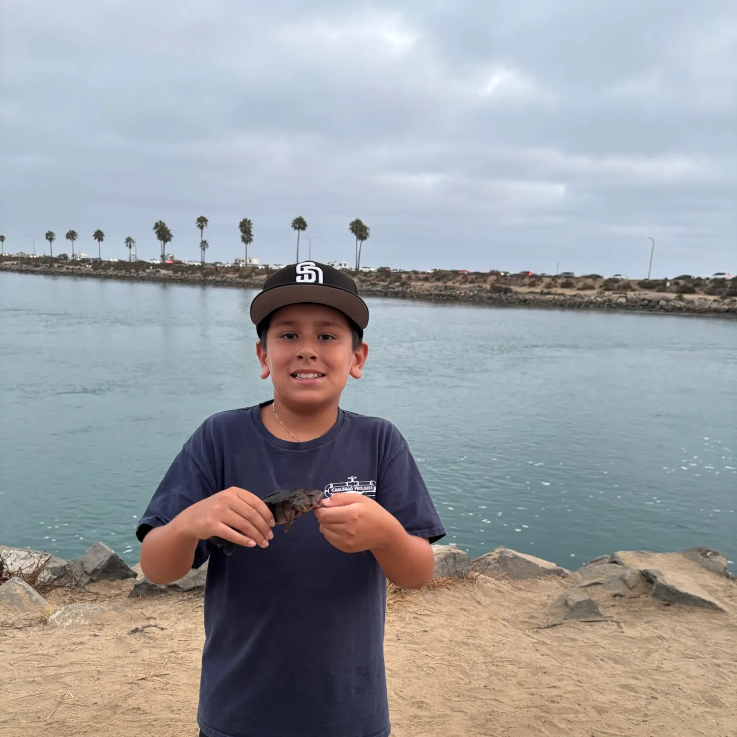 The most recent Barred sand bass catches on Fishbrain
