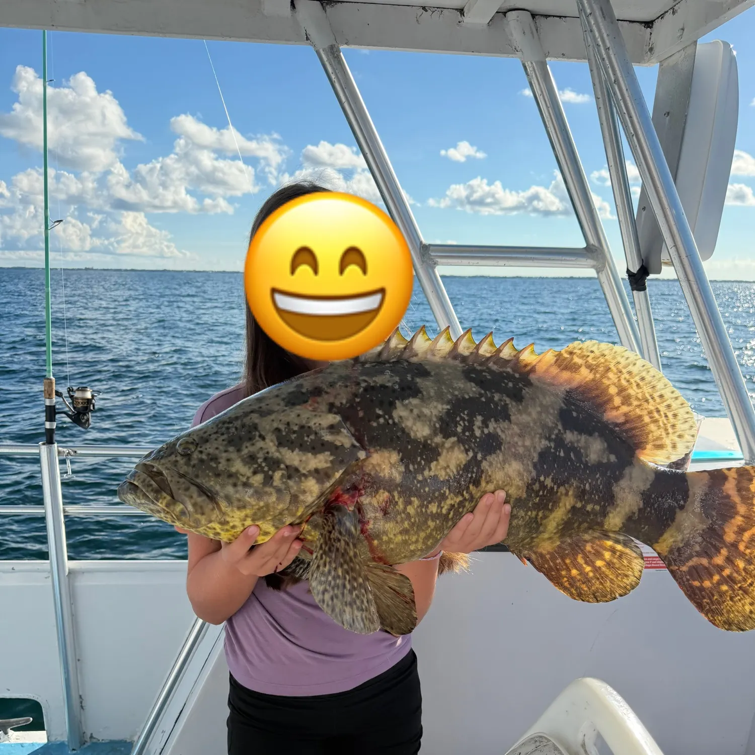 Atlantic goliath grouper caught on Fishbrain