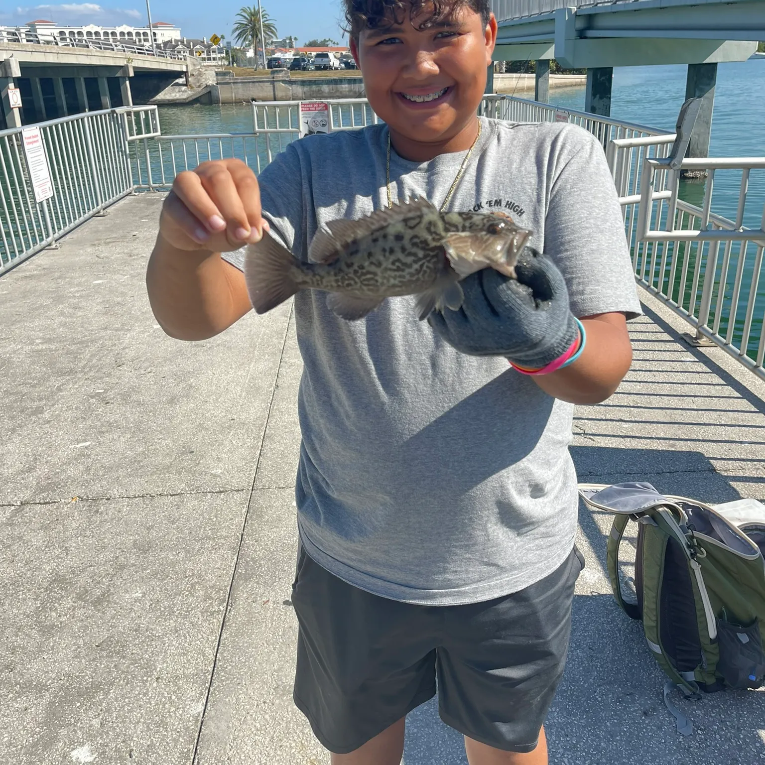 The most recent Gag grouper catches on Fishbrain