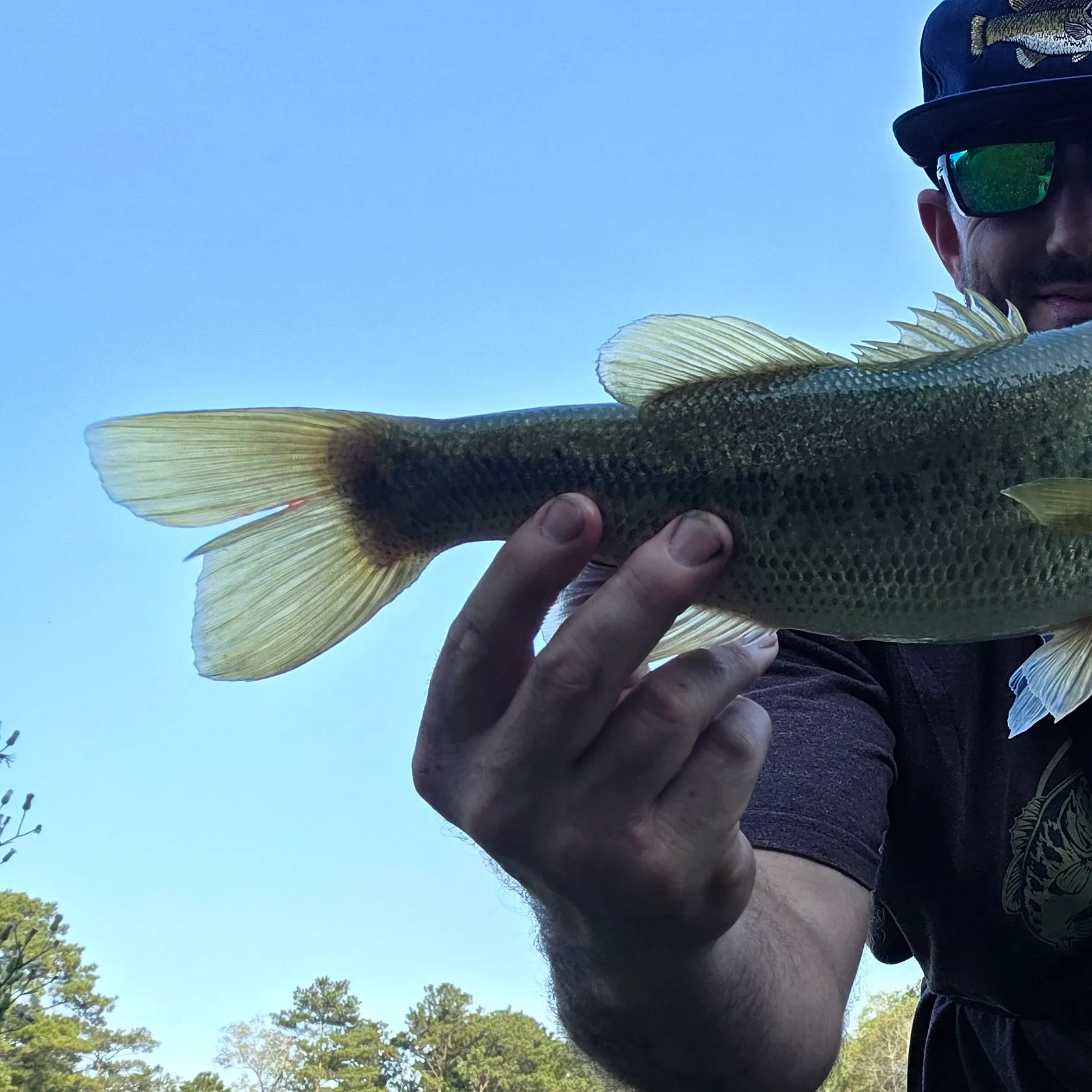 Largemouth bass caught on Fishbrain