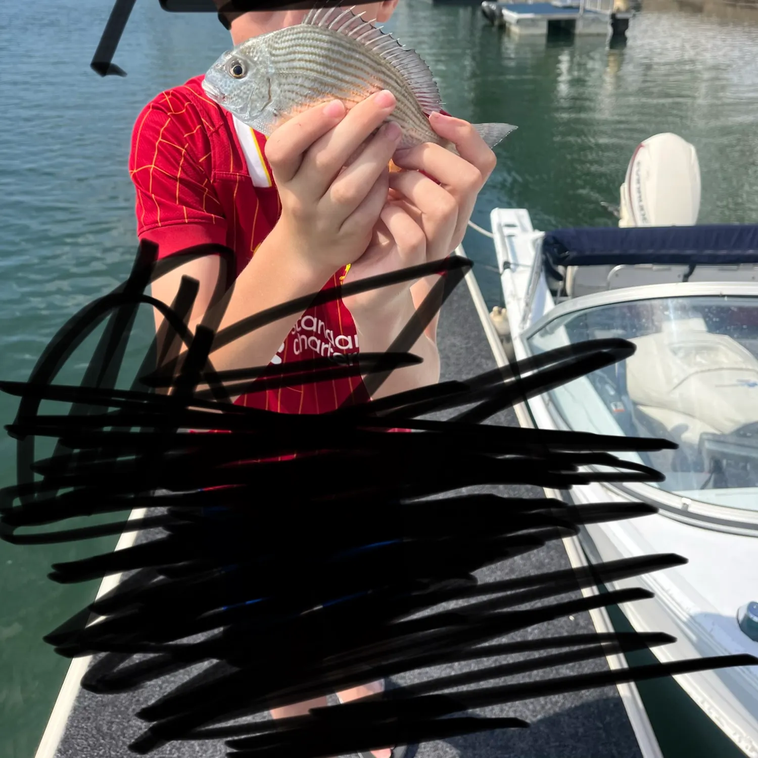 Goldlined seabream caught on Fishbrain