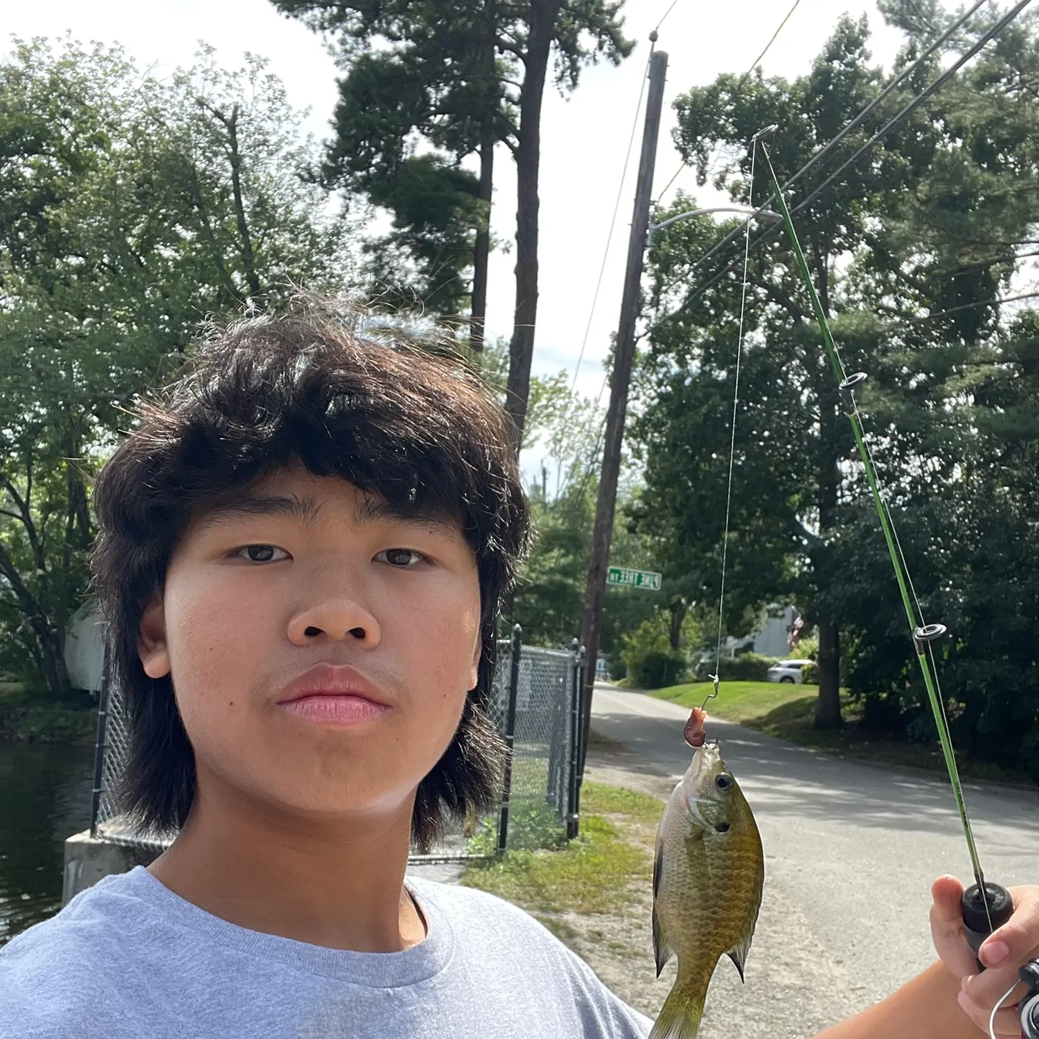 Bluegill caught on Fishbrain