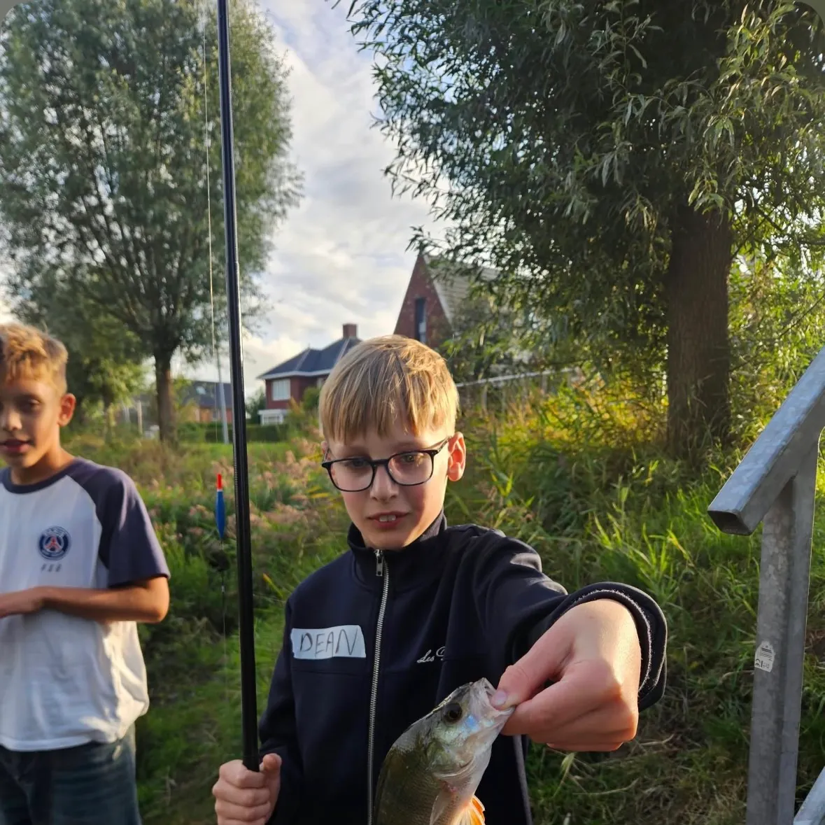 European perch caught on Fishbrain