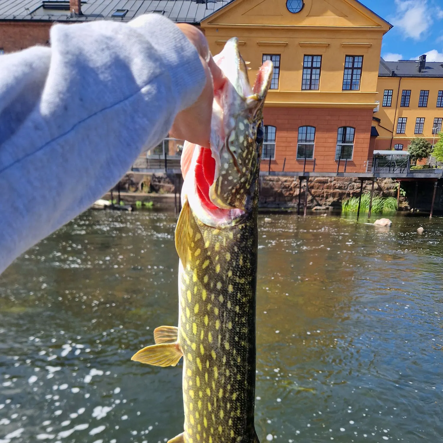 catch