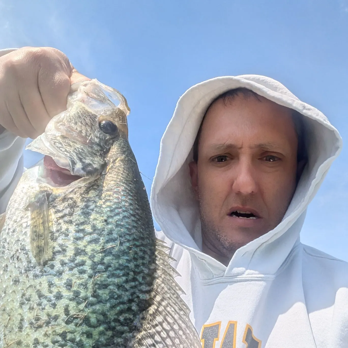 The most recent Black crappie catches on Fishbrain