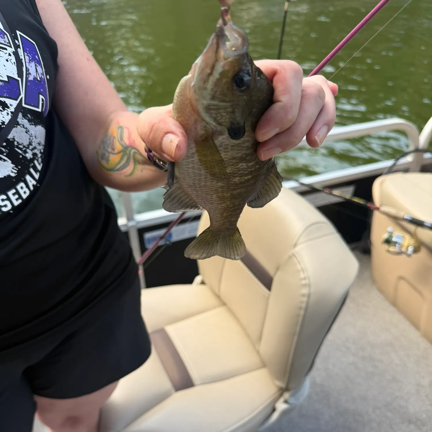 Bluegill caught on Fishbrain