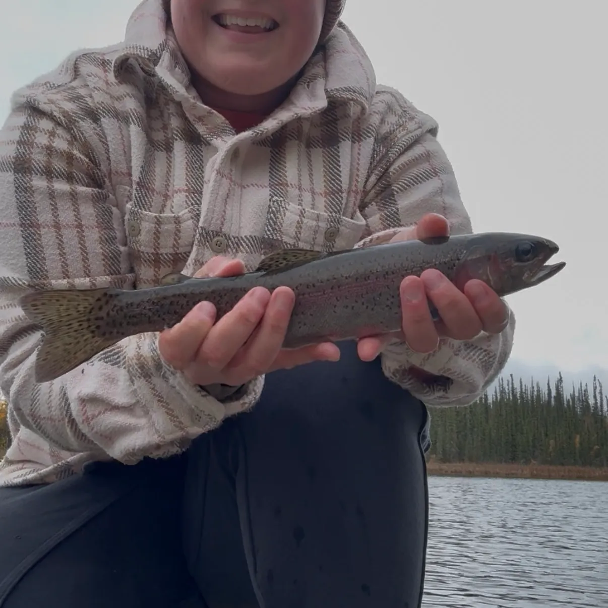 Rainbow trout caught on Fishbrain
