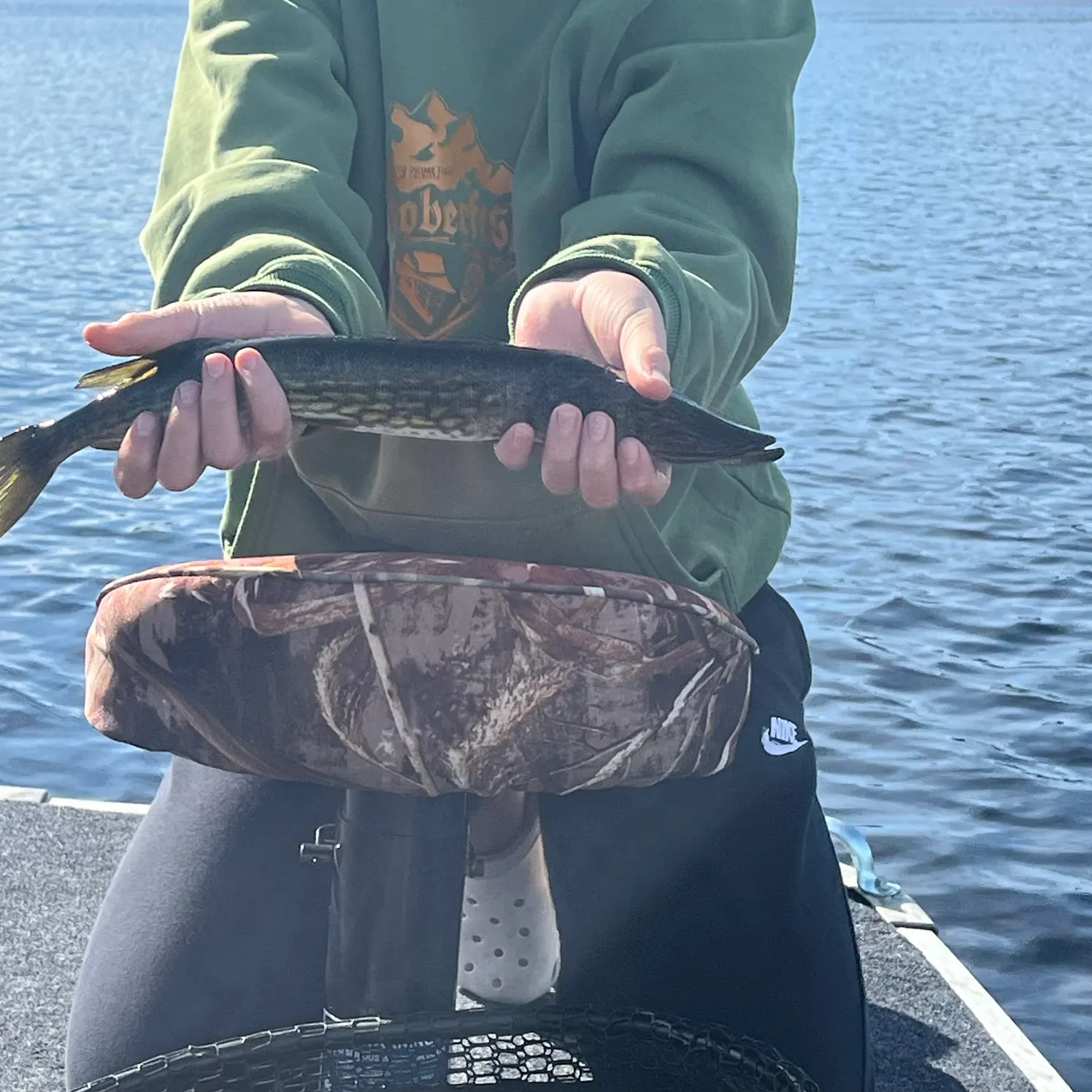 Chain pickerel caught on Fishbrain