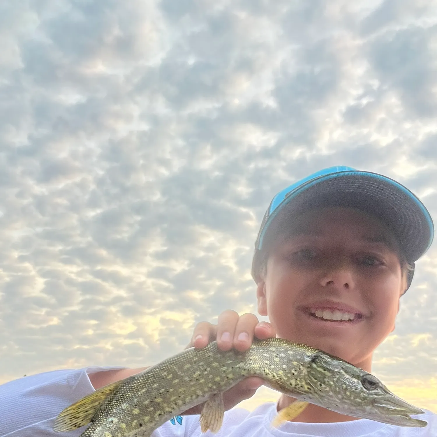 The most recent Northern pike catches on Fishbrain