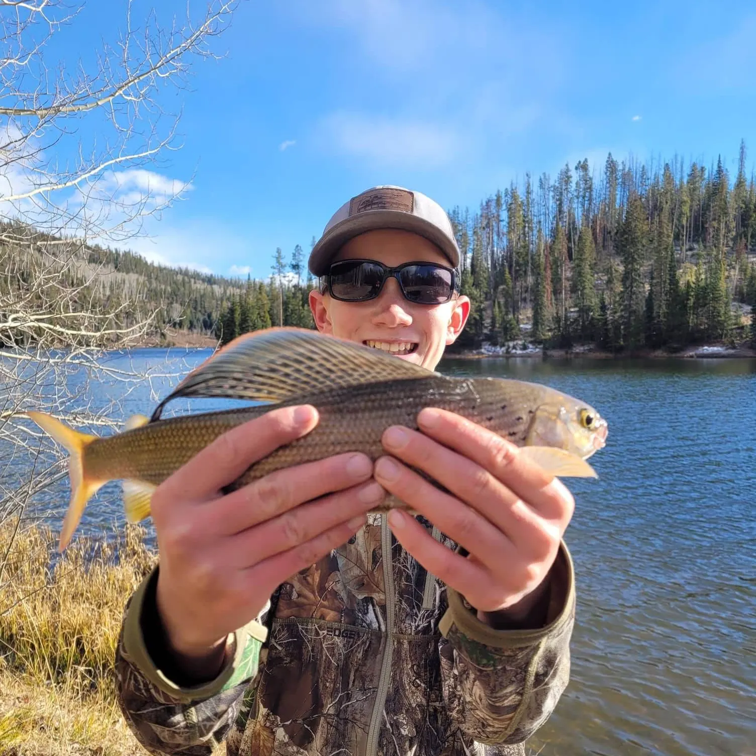 The most recent Arctic grayling catches on Fishbrain