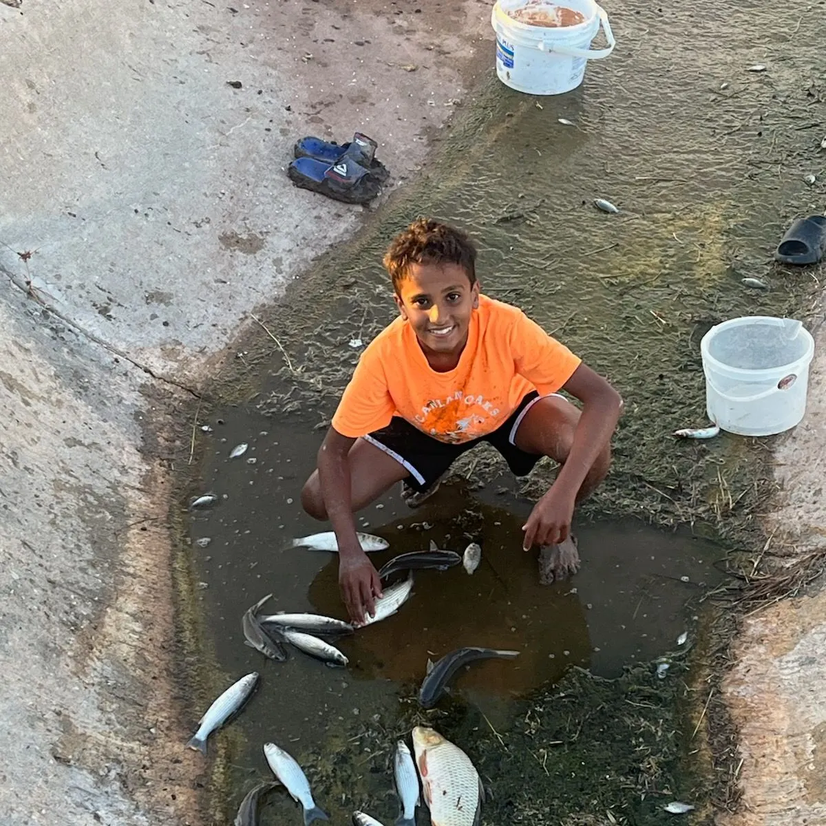 The most recent Striped mullet catches on Fishbrain