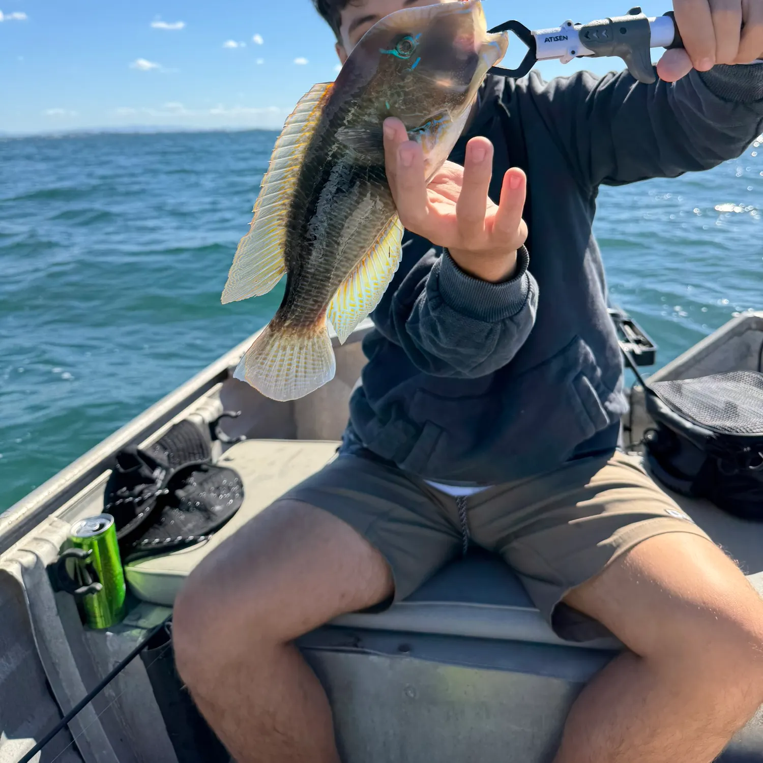 The most recent Purple tuskfish catches on Fishbrain