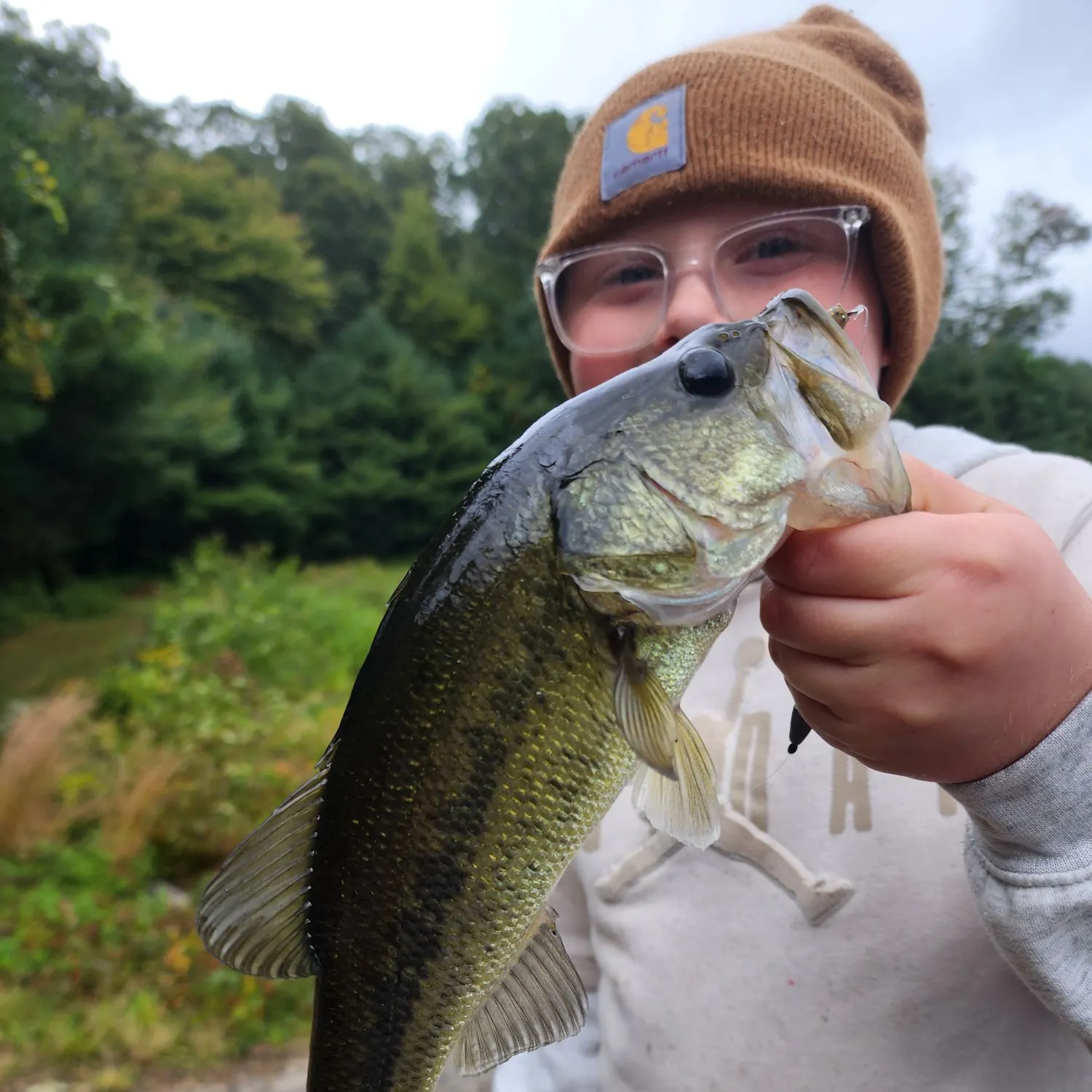 Largemouth bass caught on Fishbrain