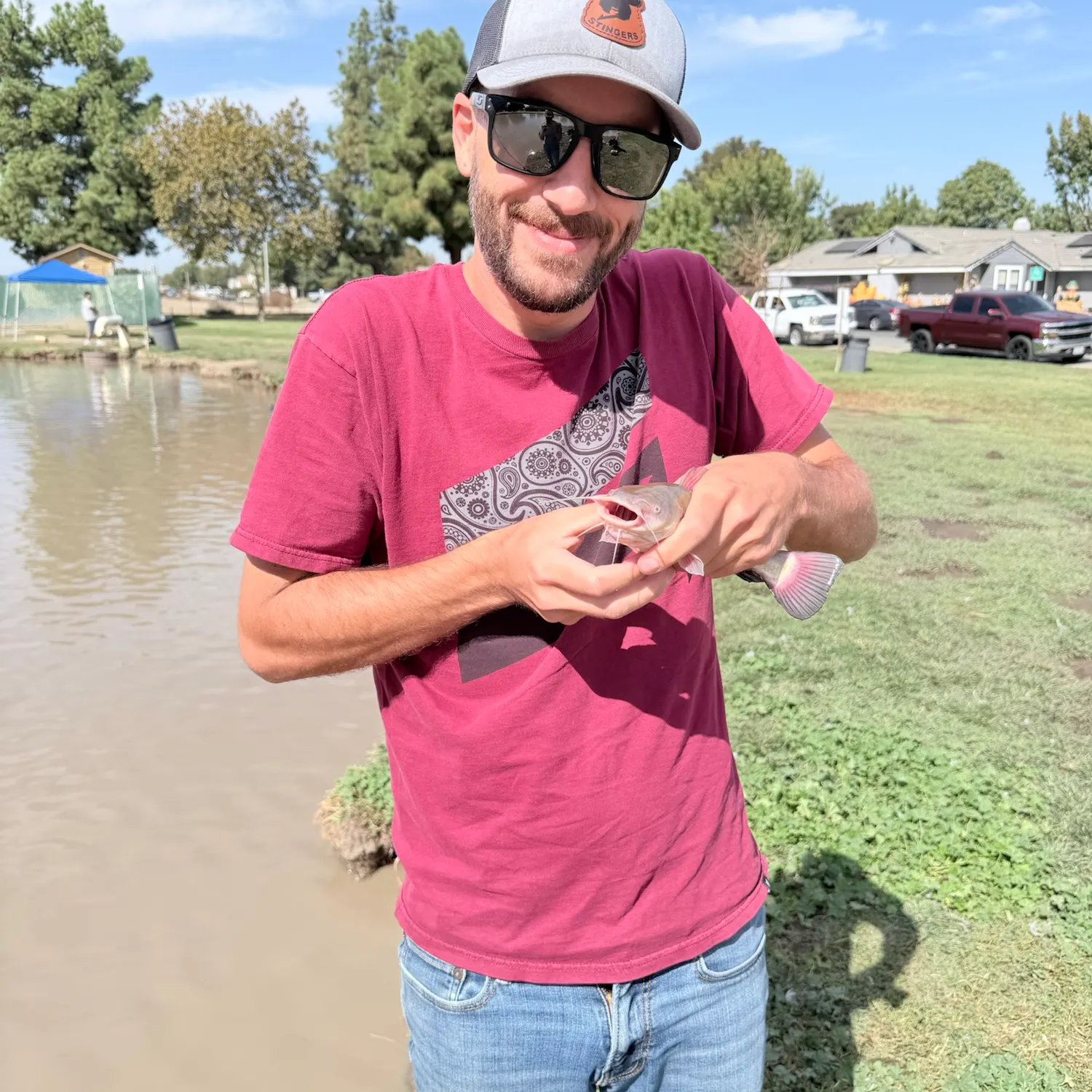 Channel catfish caught on Fishbrain