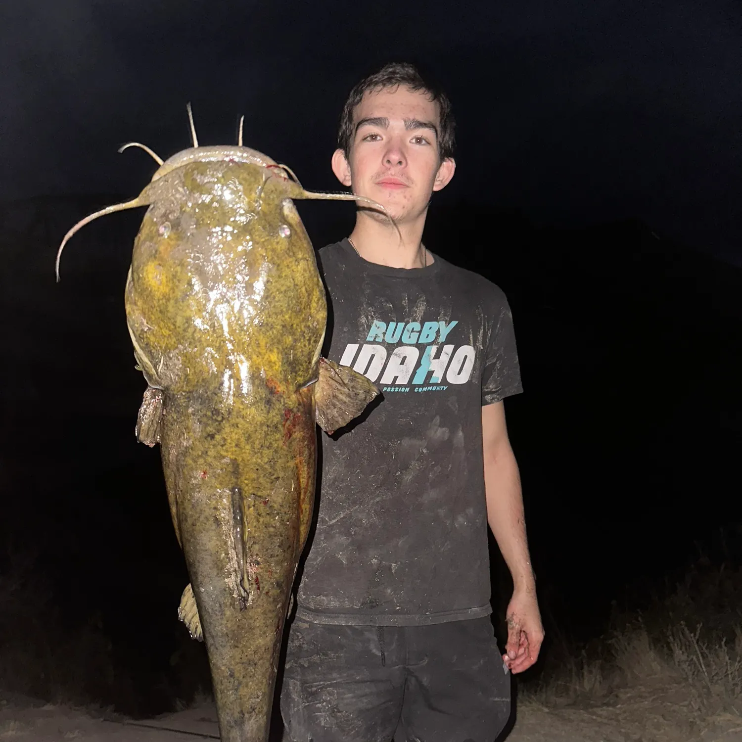 Flathead catfish caught on Fishbrain