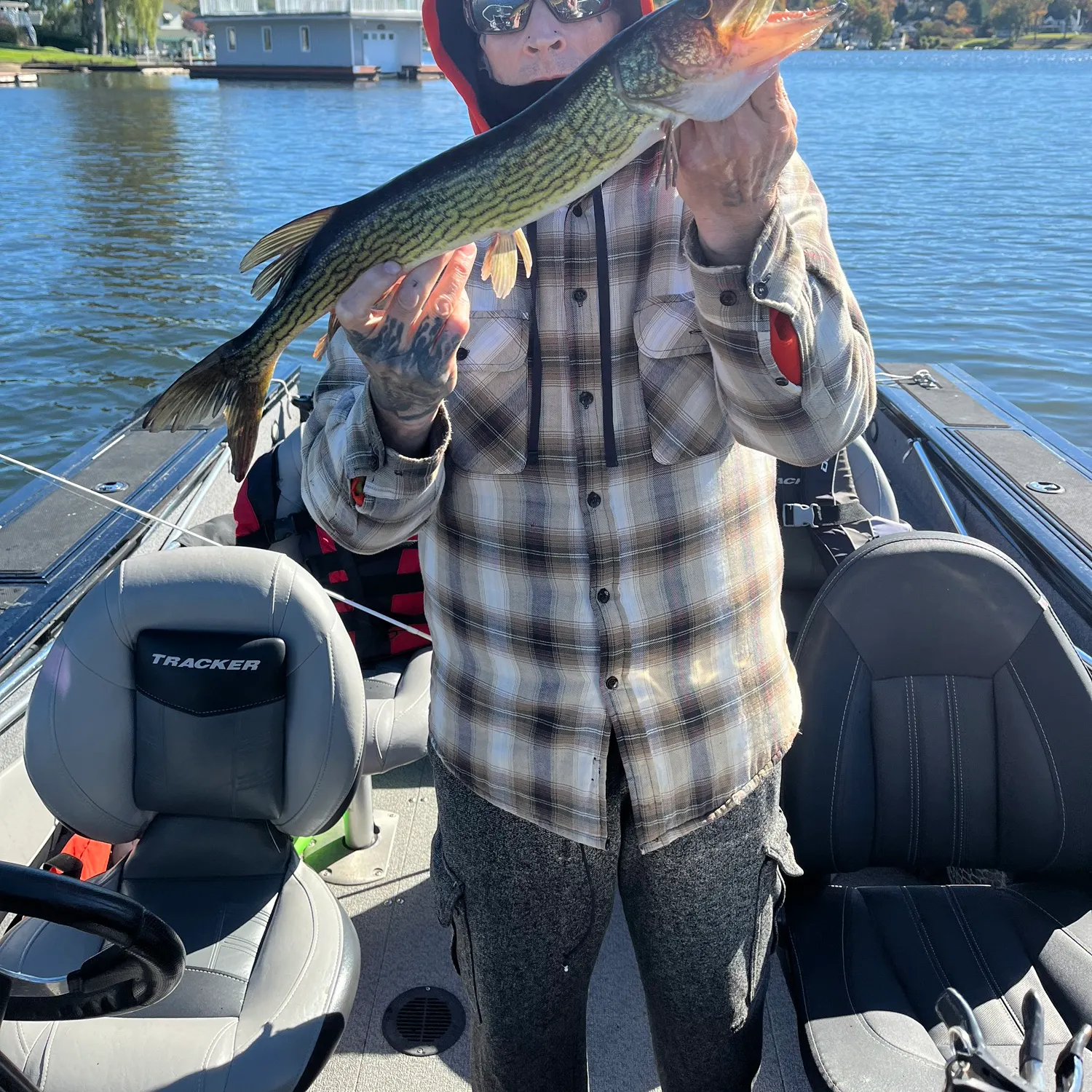 Chain pickerel caught on Fishbrain