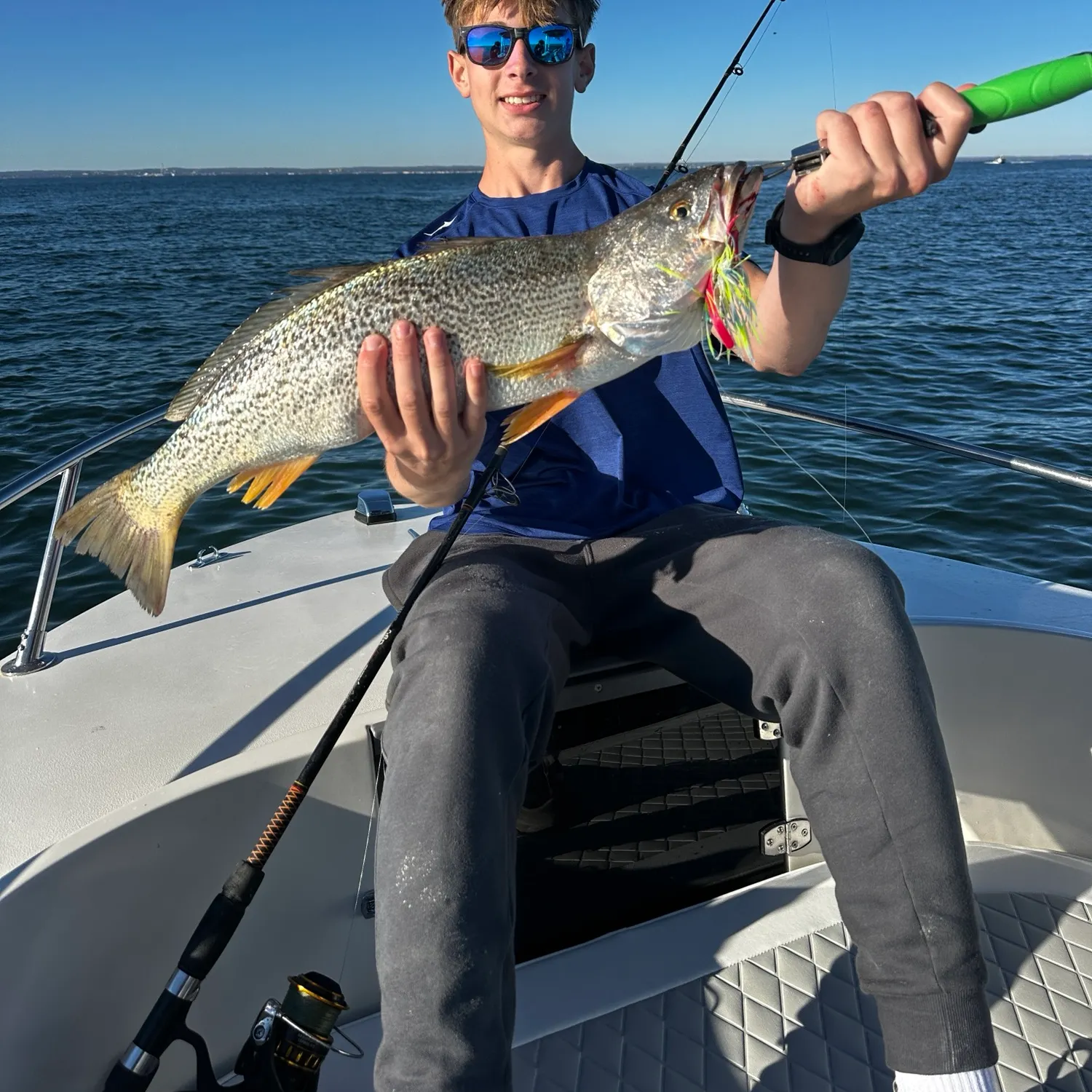 The most recent Gray weakfish catches on Fishbrain