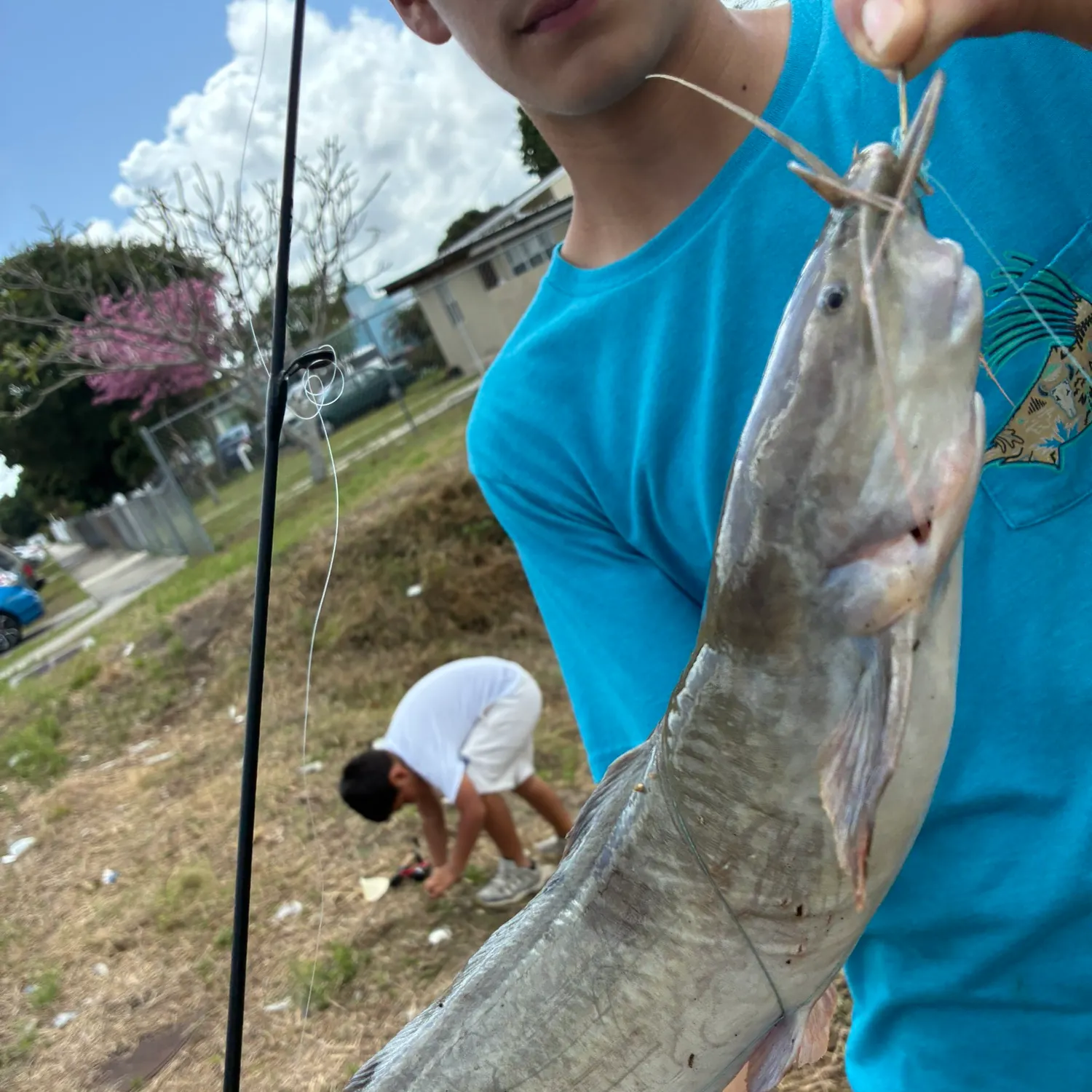 The most recent Walking catfish catches on Fishbrain